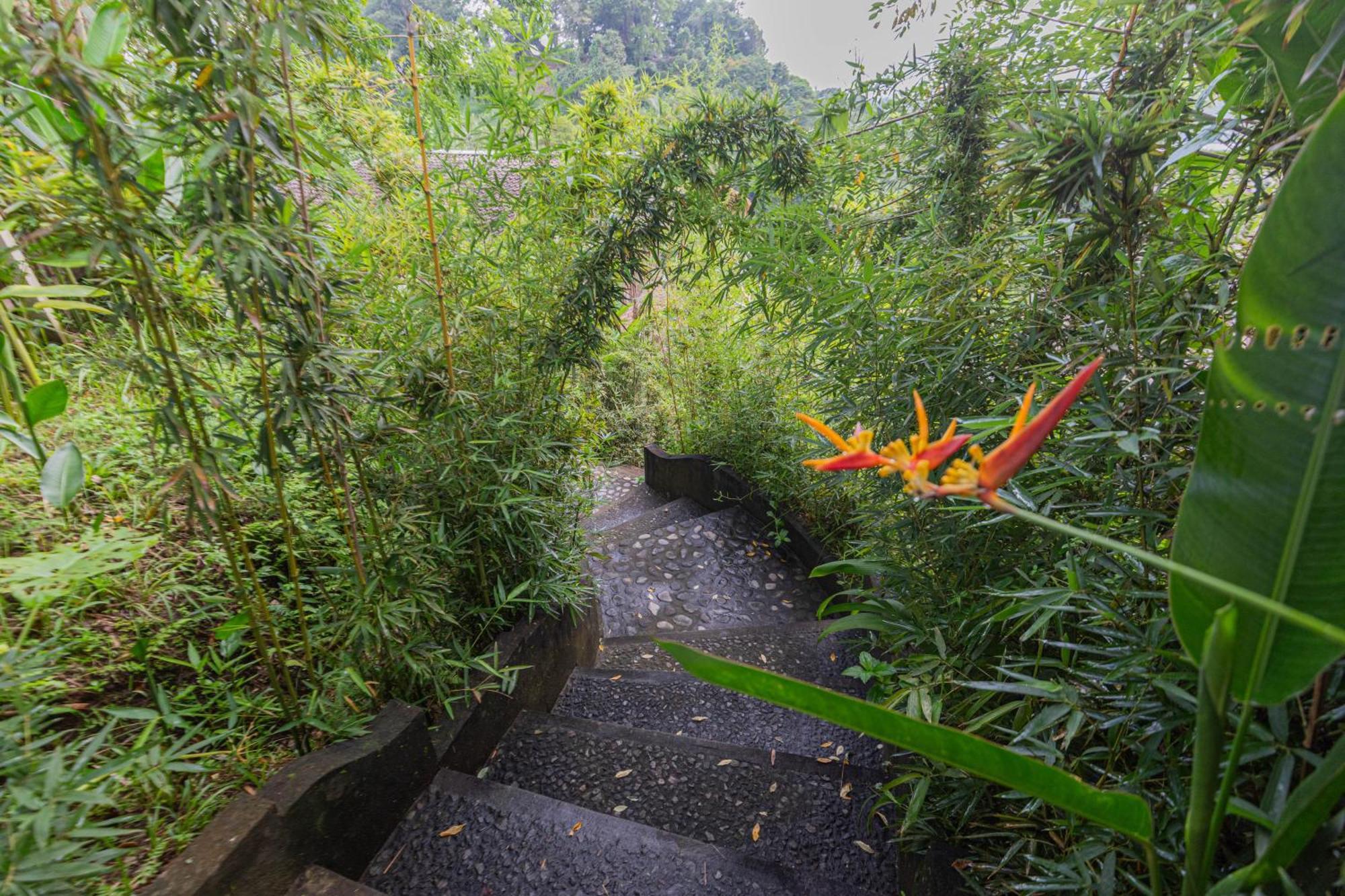 Shigar Livin Bali Vila Sidemen  Exterior foto